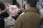 fasching_pig