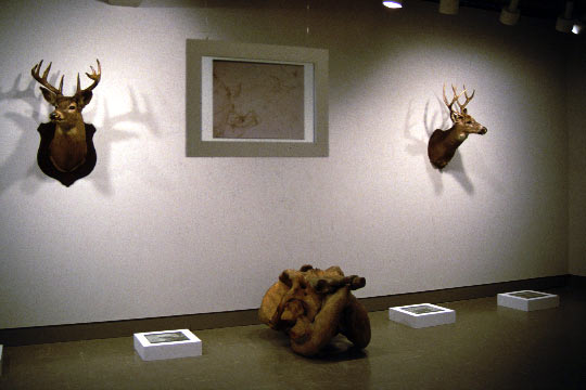 Bones: opposite wall