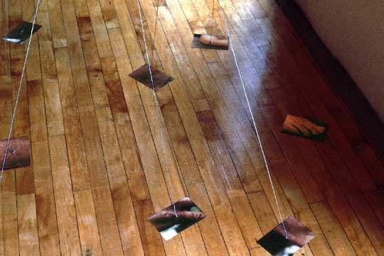 Detail: photos on the floor