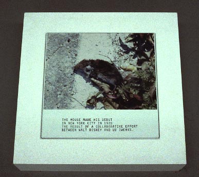 Mouse floor block