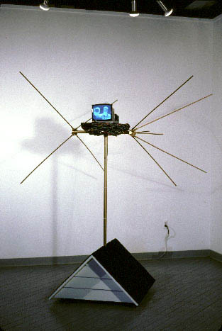Nest