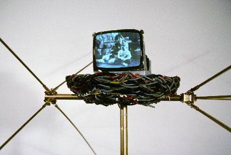 Detail: nest w/ monitor showing children